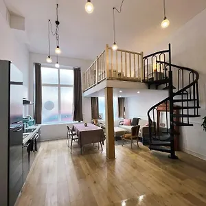 Loft Cosy Centre St Etienne Appartement
